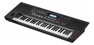 Organo Roland Ex50 Negro