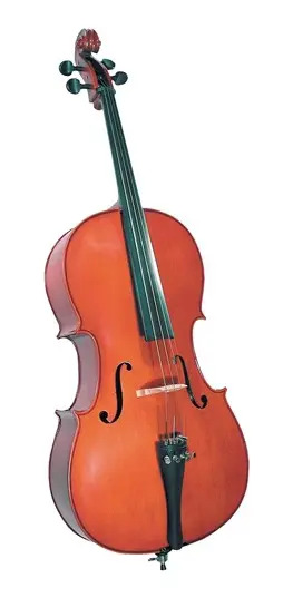 Cello Cervini Hc100 4/4